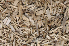 biomass boilers Vementry